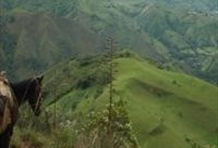 Horseback Riding from Hacienda el Palomar